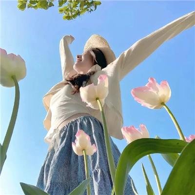山菊花